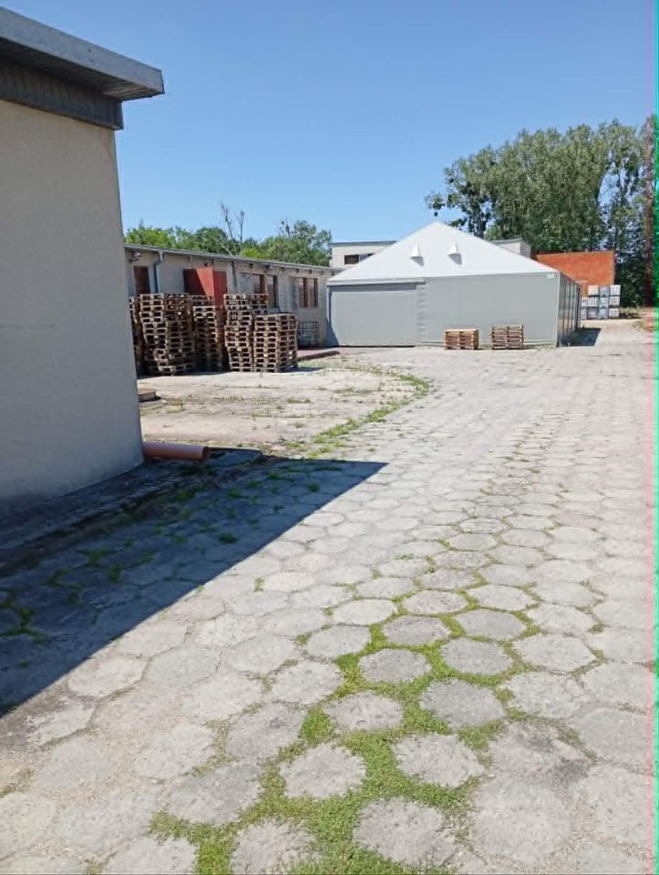 Hala/magazyn Franciszków, ul. Dębowa. Zdjęcie 3