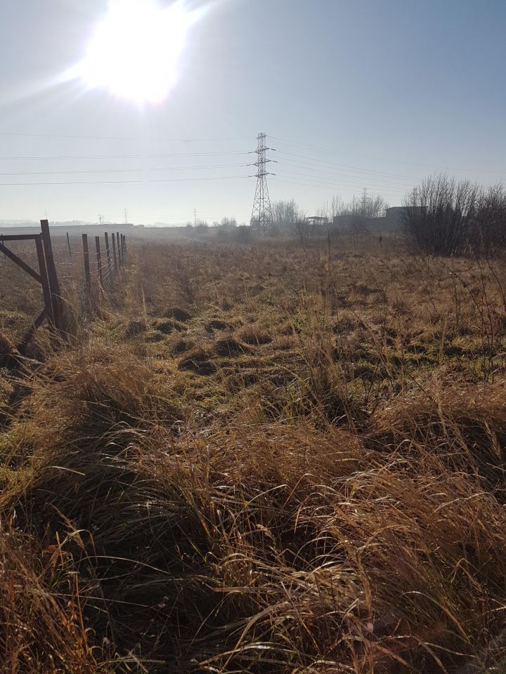Działka rolno-budowlana Nysa Dolna Wieś, Piłsudskiego. Zdjęcie 7