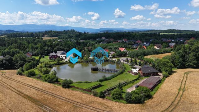 Lokal Dziwiszów. Zdjęcie 8