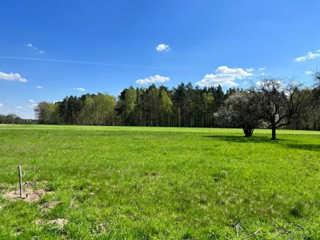 Działka budowlana Radziejowice. Zdjęcie 1