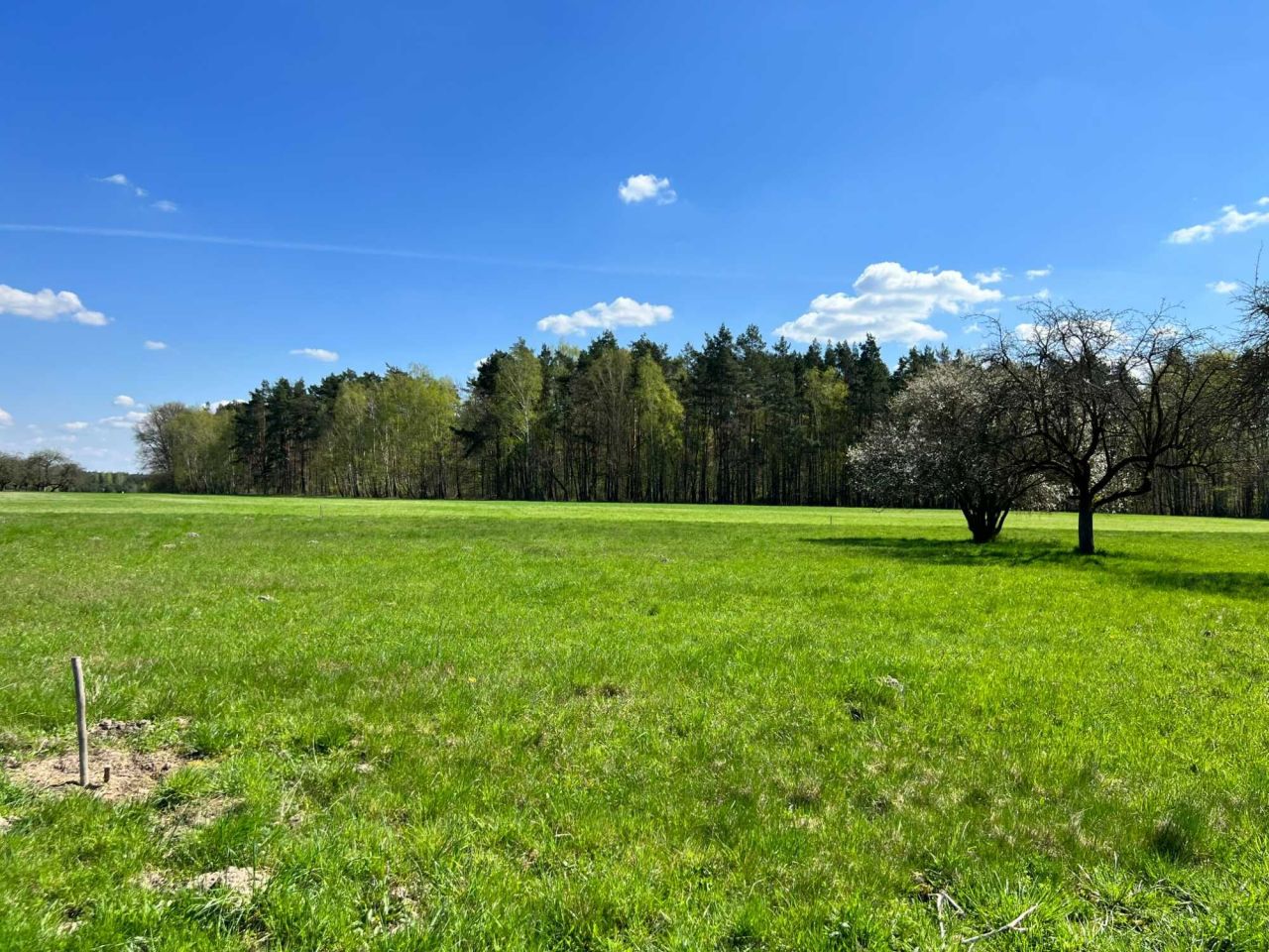Działka budowlana Radziejowice. Zdjęcie 1