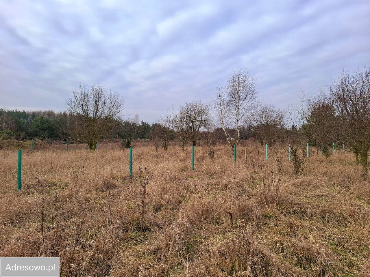 Działka budowlana Pniewy, ul. Wroniecka. Zdjęcie 4