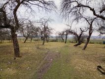 dom wolnostojący, 5 pokoi Jaszczew. Zdjęcie 4