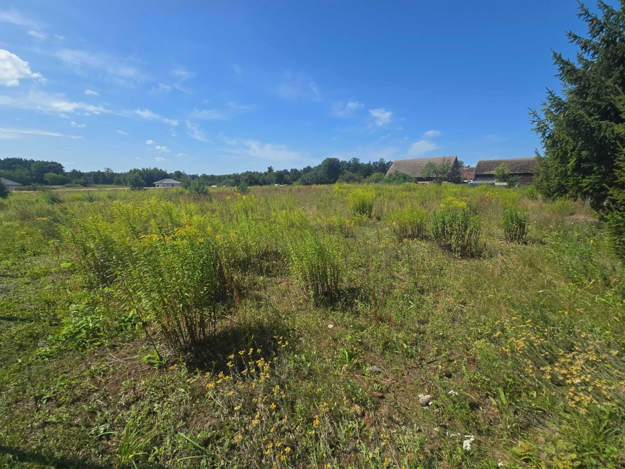 Działka budowlana Turowo. Zdjęcie 3