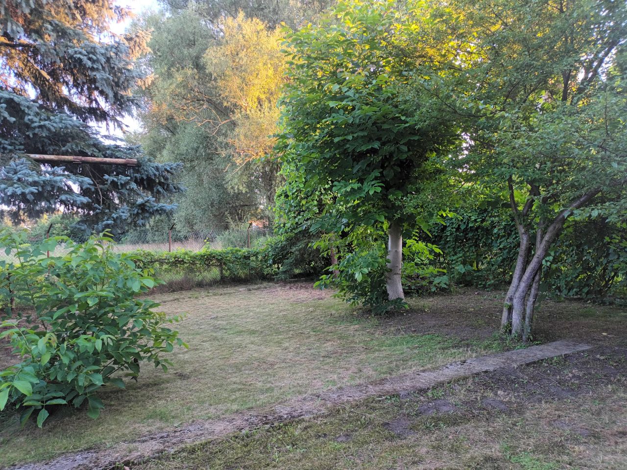 Działka rod Zielona Góra Przylep, ul. Przylep-Działkowa. Zdjęcie 4