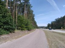 Działka inwestycyjna Młodzieszyn Młodzieszyn-Osada, ul. Wyzwolenia. Zdjęcie 3