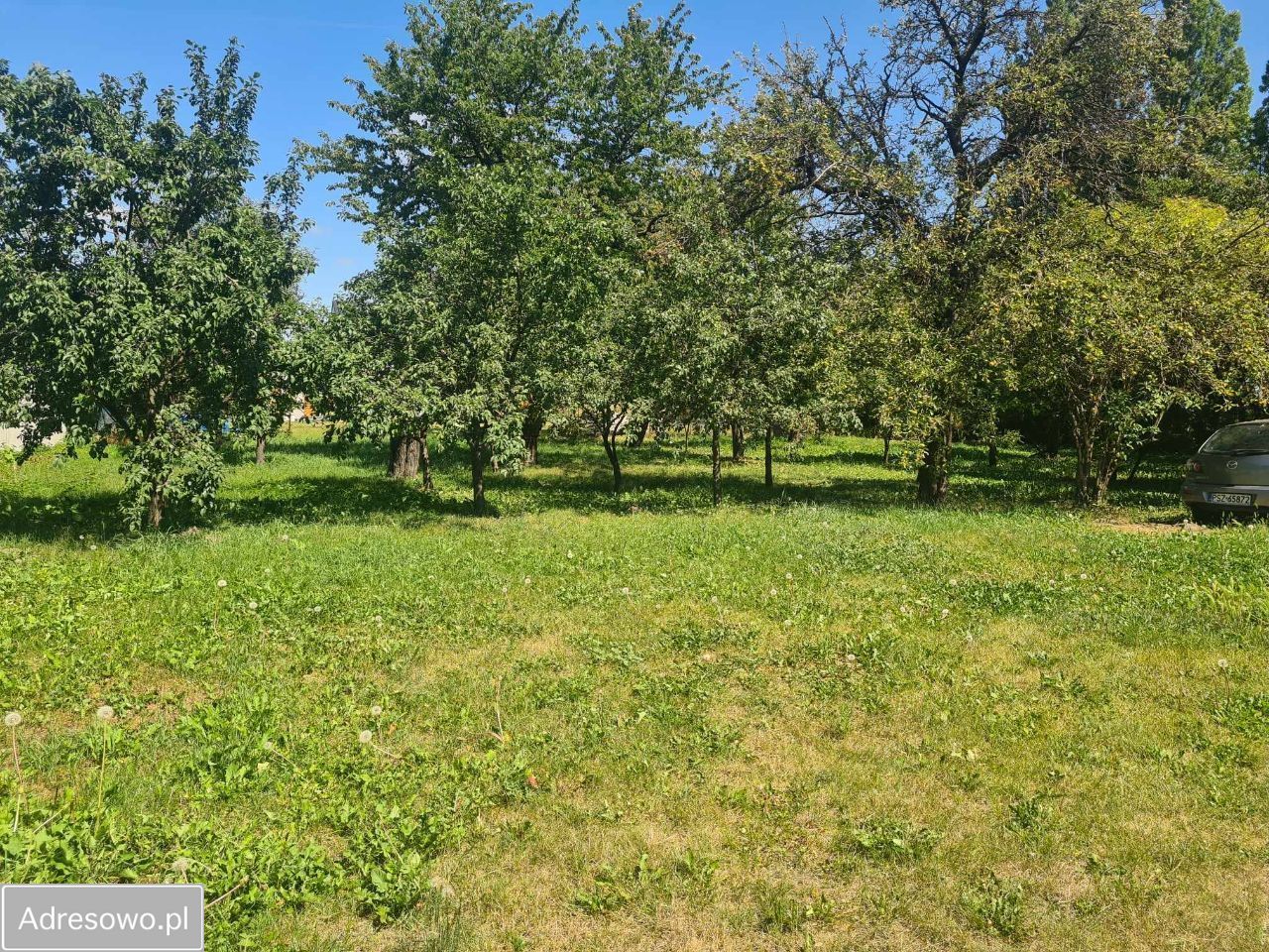 Działka budowlana Poznań Franowo, ul. Łosiowa