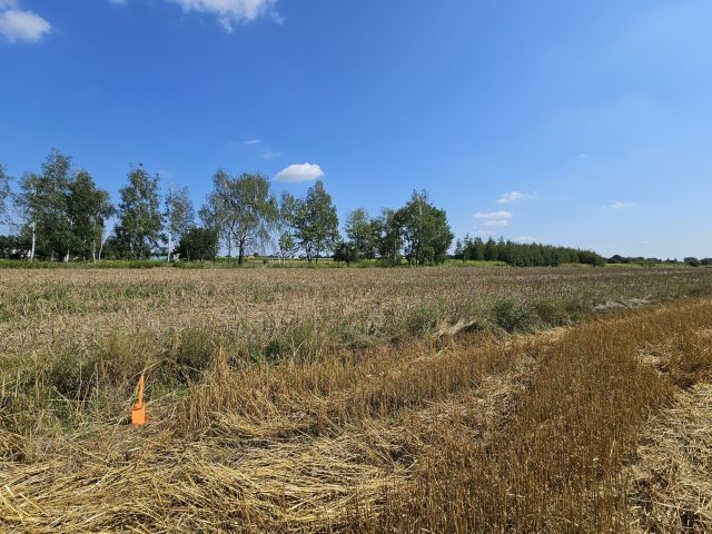 Działka budowlana Ciecierzyn. Zdjęcie 1