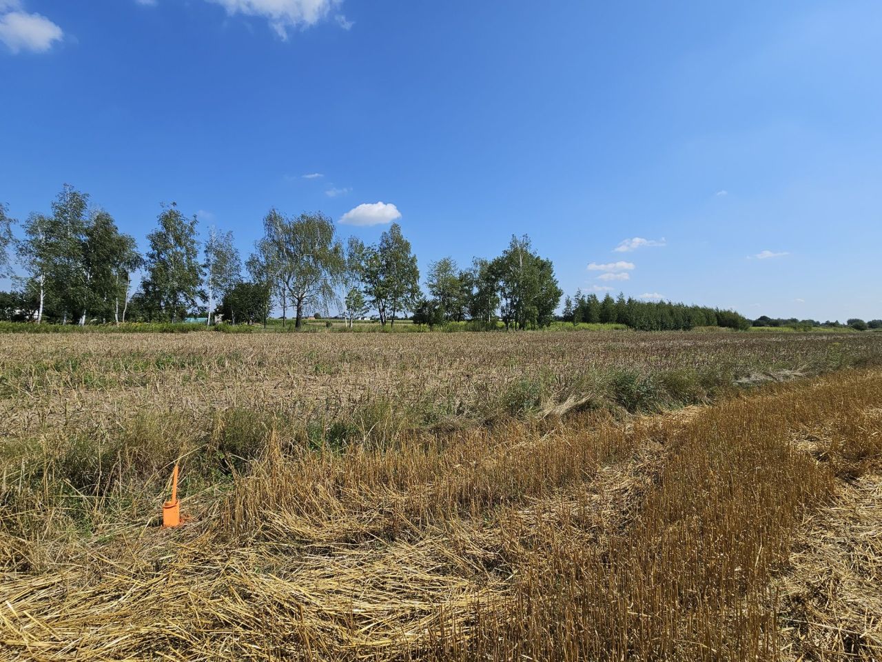 Działka budowlana Ciecierzyn