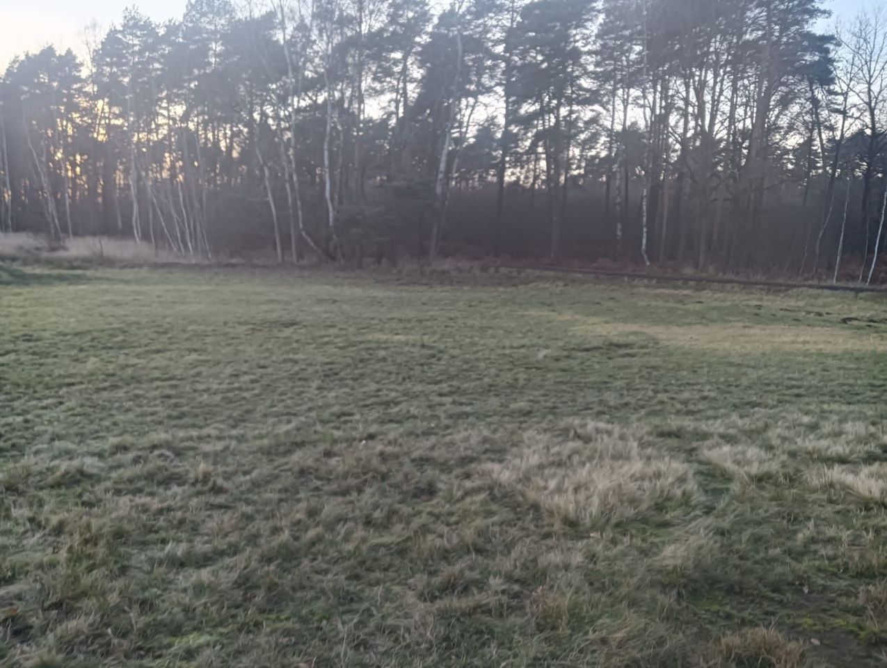 Działka inwestycyjna Lędziny. Zdjęcie 7