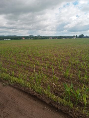 Działka budowlana Nowa Wieś, ul. Cicha. Zdjęcie 1
