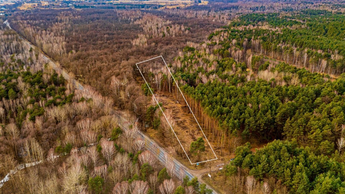 Działka leśna Załuże. Zdjęcie 1