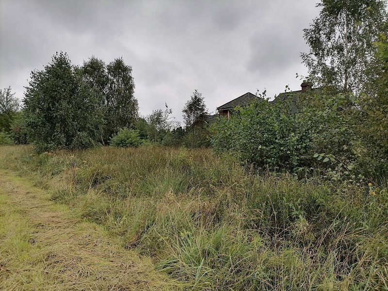 Działka rolno-budowlana Stara Grabownica. Zdjęcie 6