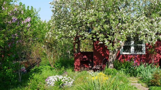 Działka rekreacyjna Wrocław Fabryczna, ul. Francuska. Zdjęcie 1