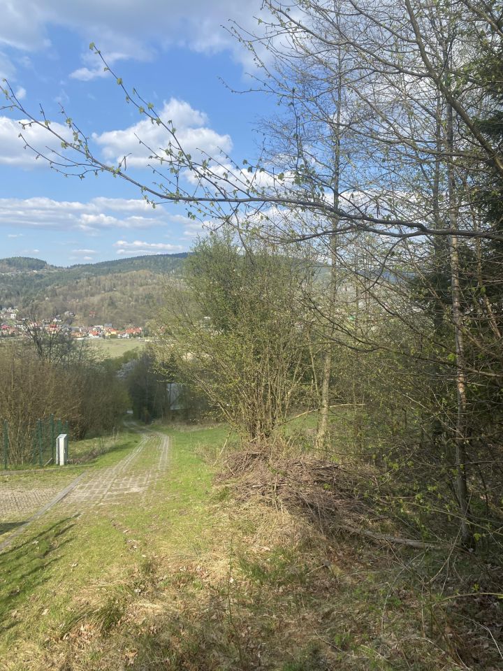 Działka rolno-budowlana Grzechynia Kudziówka Zarąbska, Grzechynia. Zdjęcie 7