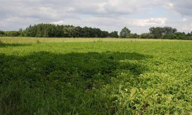 Działka Łódź Polesie, ul. Kirasjerów. Zdjęcie 1
