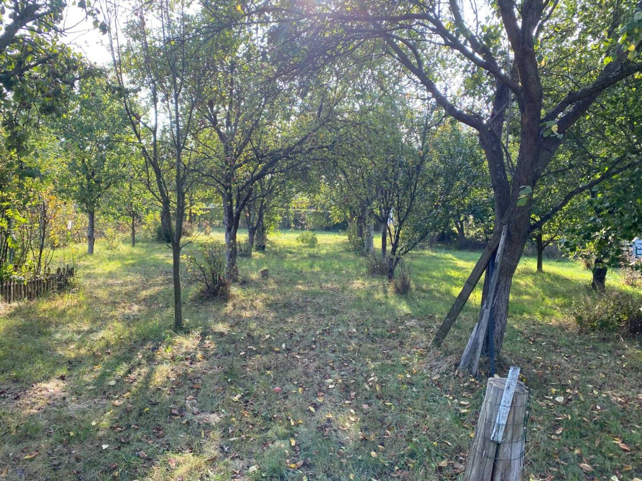 Działka rod Chrzanów. Zdjęcie 3