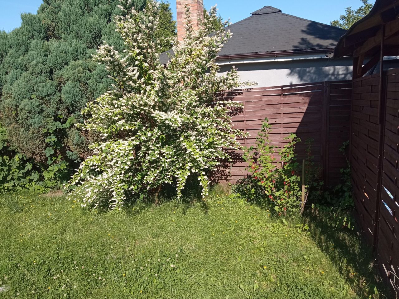 Działka rod Luboń Żabikowo, ul. 3 Maja. Zdjęcie 9