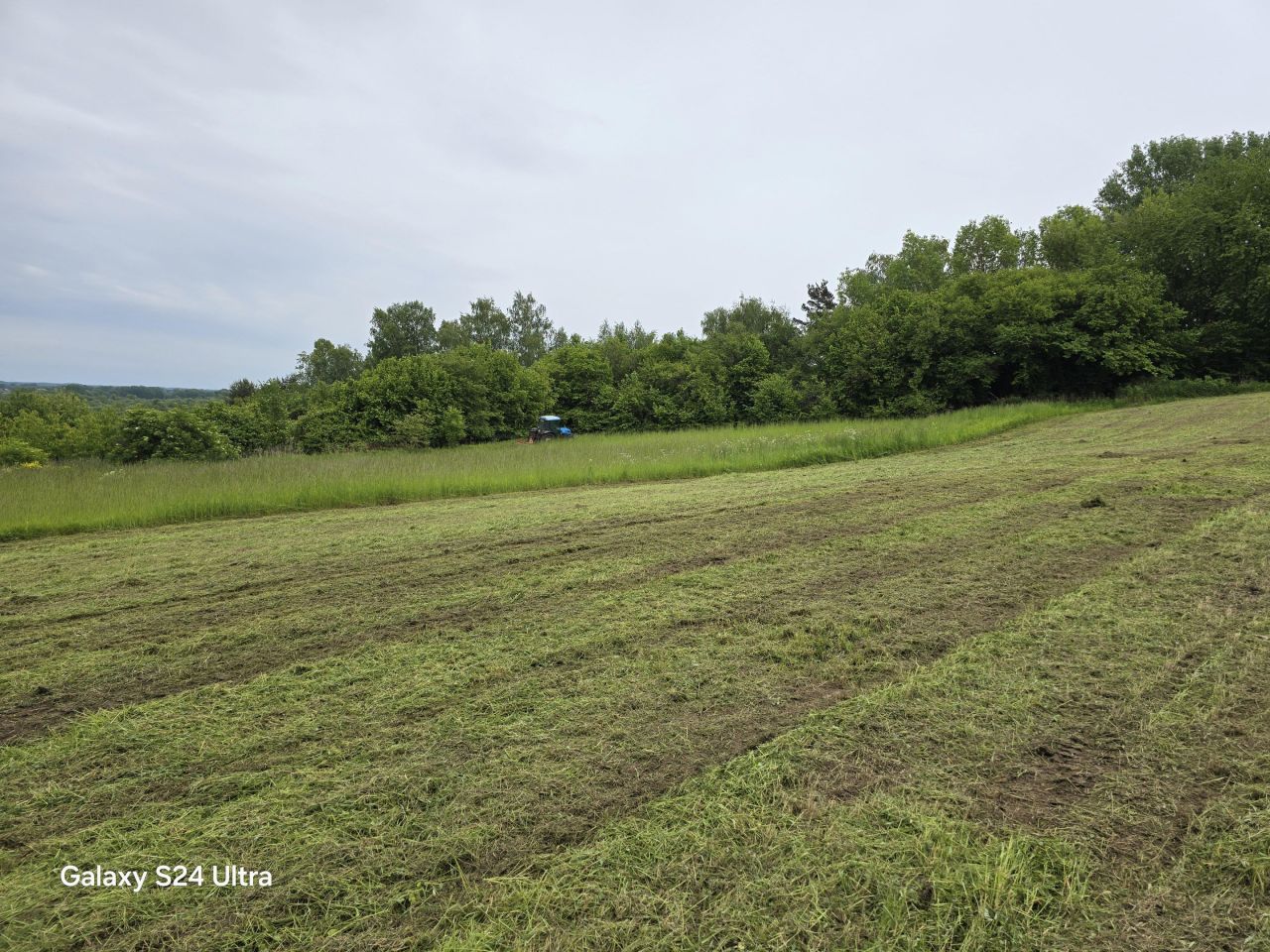 Działka rolno-budowlana Nowy Kamień. Zdjęcie 12