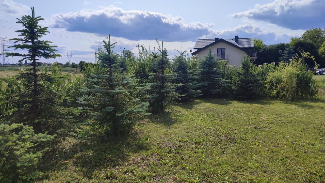 dom wolnostojący, 5 pokoi Topolin. Zdjęcie 10