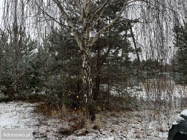 Działka budowlana Nowe Grochale. Zdjęcie 1
