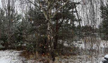 Działka budowlana Nowe Grochale