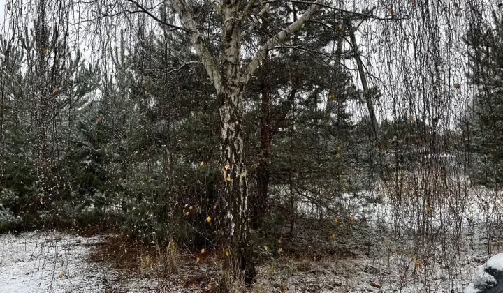 Działka budowlana Nowe Grochale