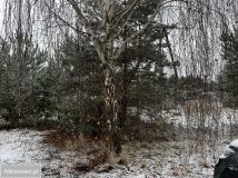 Działka budowlana Nowe Grochale