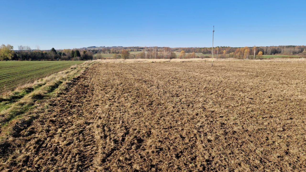 Działka rolna Mirsk. Zdjęcie 1