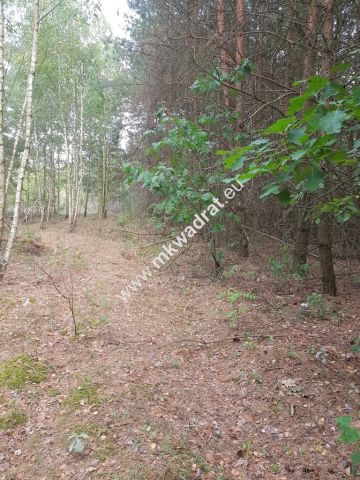 Działka budowlana Nowe Budy. Zdjęcie 5
