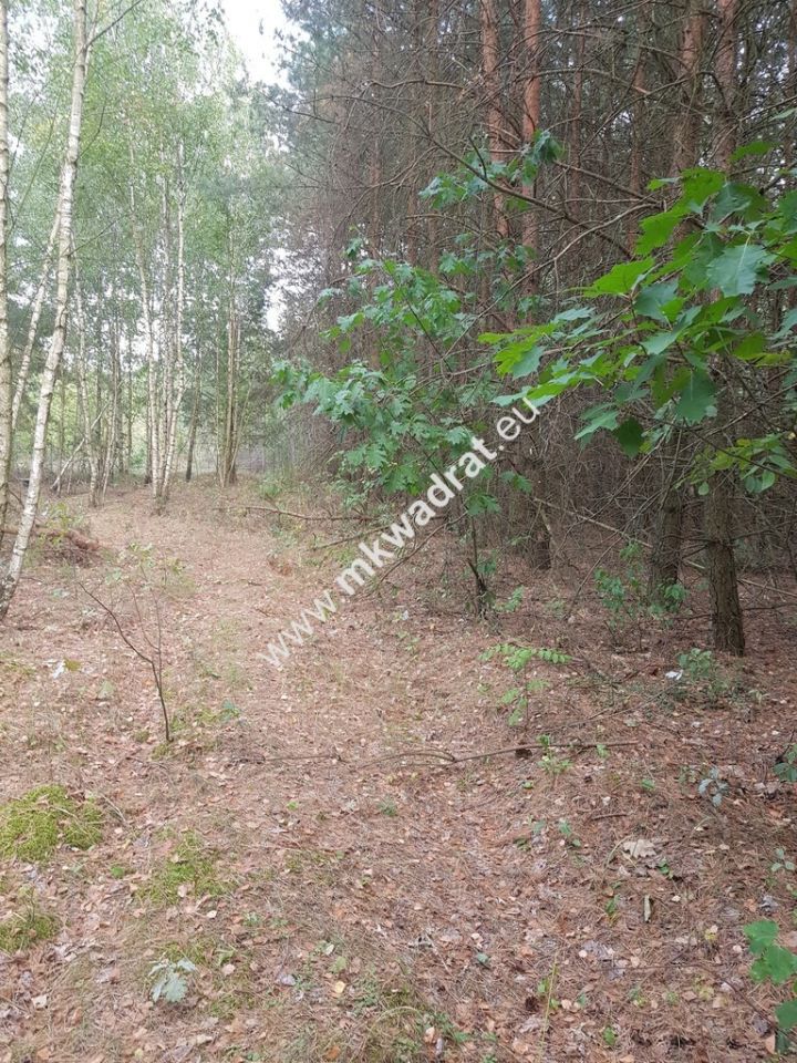 Działka budowlana Nowe Budy. Zdjęcie 5