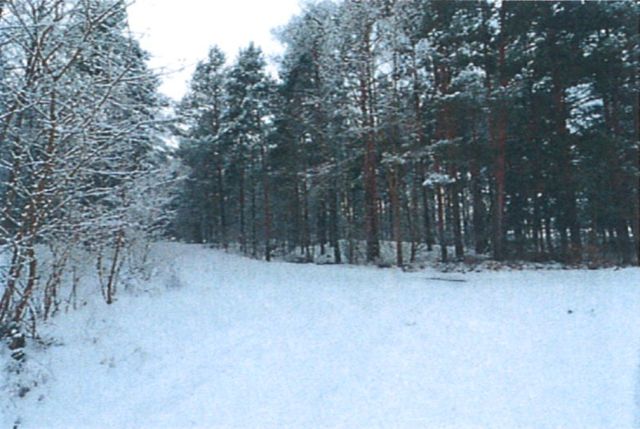 Działka rolna Śladów, brak. Zdjęcie 8