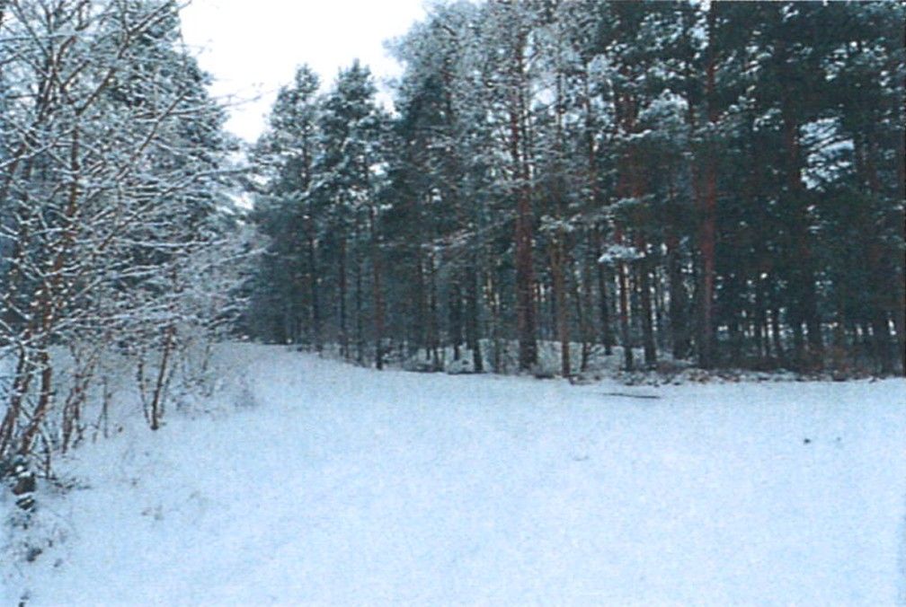 Działka rolna Śladów, brak. Zdjęcie 8