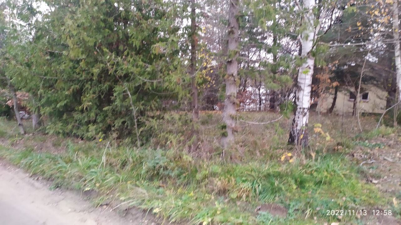 Działka inna Żabi Róg. Zdjęcie 6