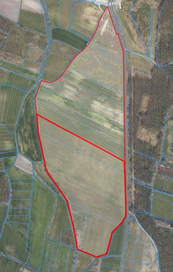 Działka inwestycyjna Jasieniec. Zdjęcie 4