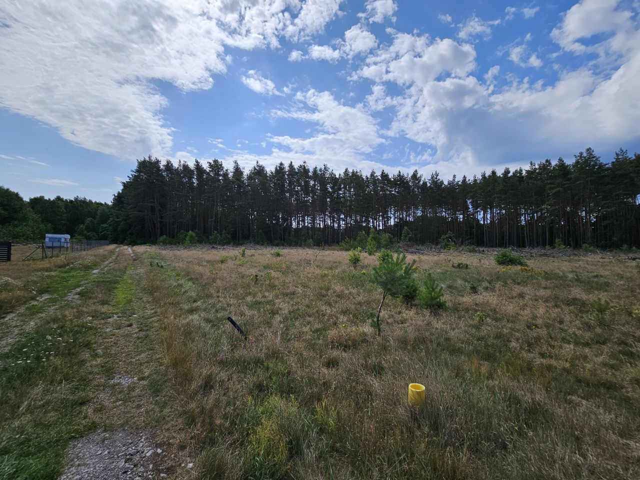 Działka rolno-budowlana Nowe Warpno Miroszewo. Zdjęcie 10