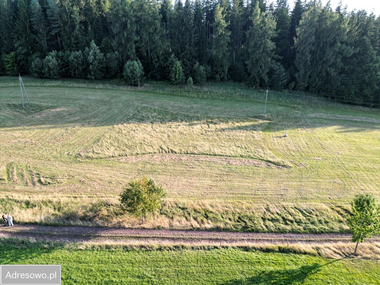 Działka budowlana Sierpnica. Zdjęcie 3