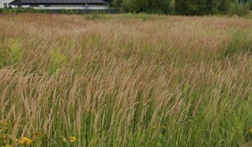 Działka budowlana Końskie, ul. Wincentego Kadłubka