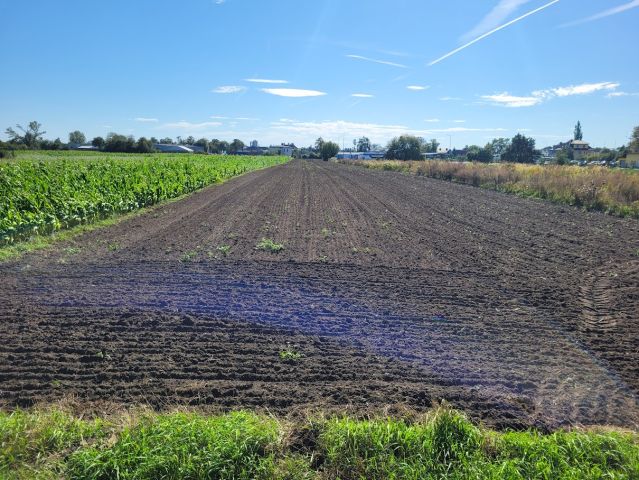 Działka rolno-budowlana Opole Nowa Wieś Królewska, ul. Jerzego i Ryszarda Kowalczyków. Zdjęcie 10