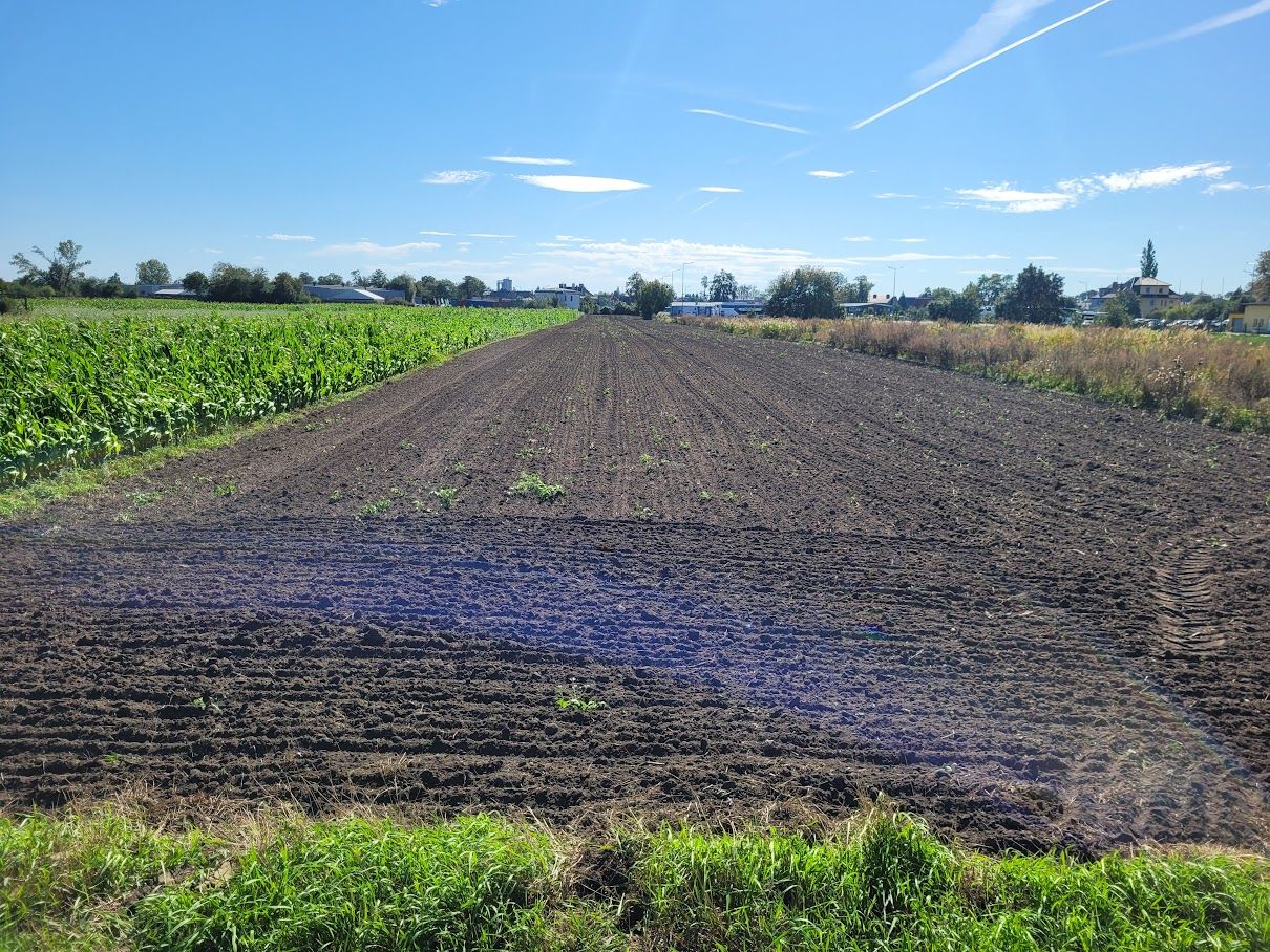 Działka rolno-budowlana Opole Nowa Wieś Królewska, ul. Jerzego i Ryszarda Kowalczyków. Zdjęcie 10