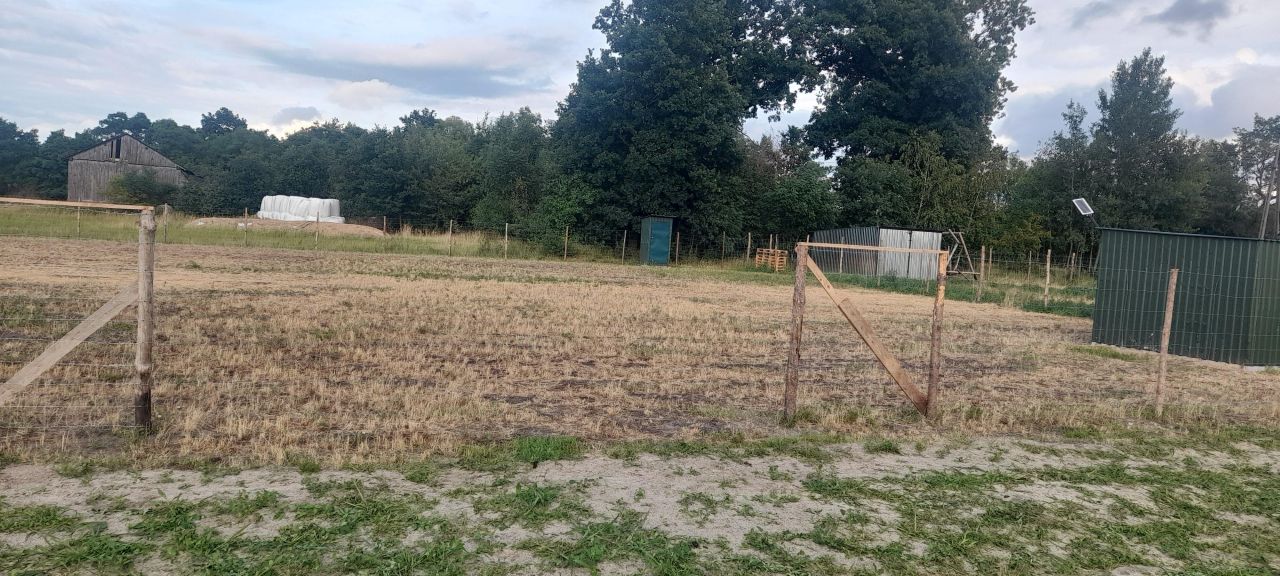 Działka rolno-budowlana Karsznice, Karsznice 6 99-122 gm.Góra Świętej Małgorzaty. Zdjęcie 6