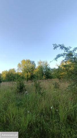 Działka inwestycyjna Zawady. Zdjęcie 1