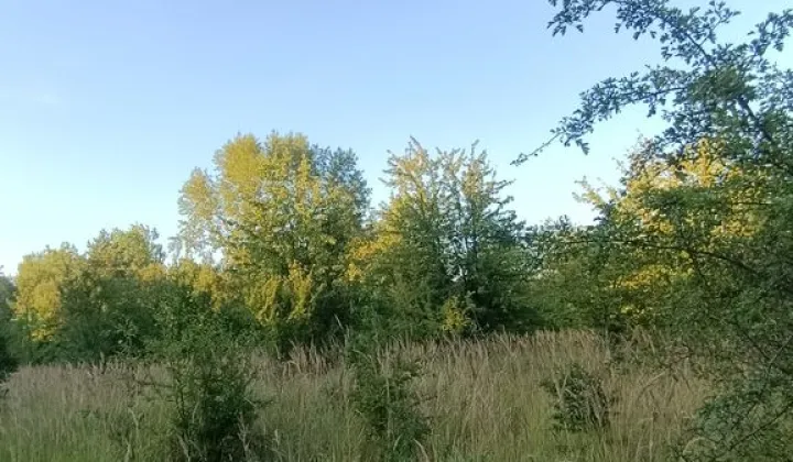 Działka inwestycyjna Zawady