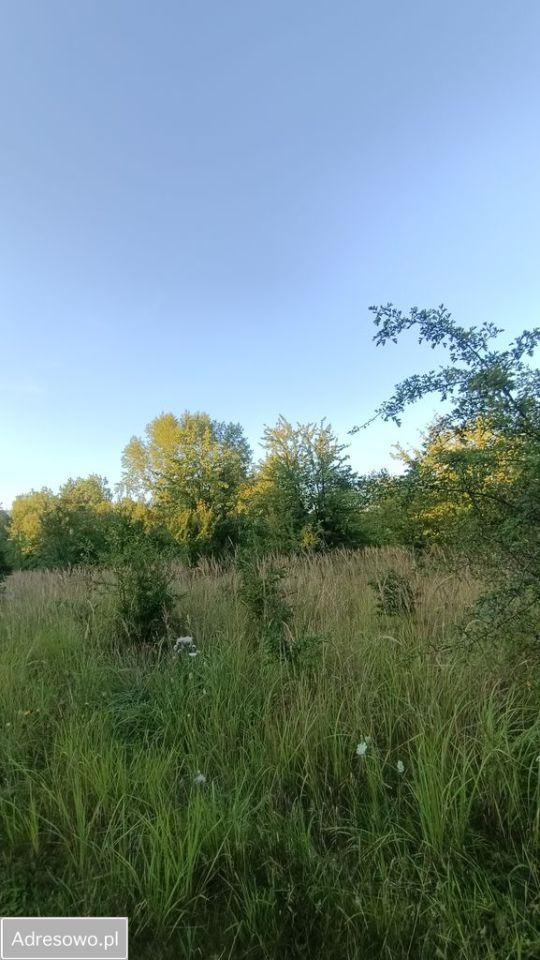 Działka inwestycyjna Zawady. Zdjęcie 1