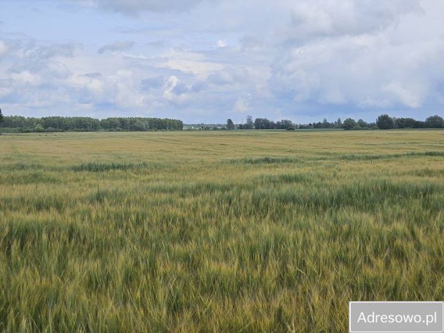 Działka rolna Zalasocze. Zdjęcie 1