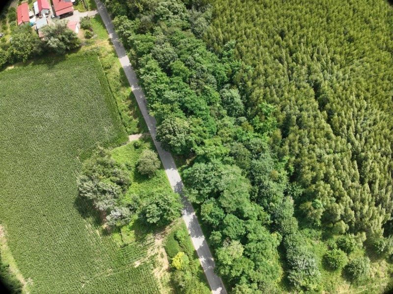 Działka inna Janowiczki. Zdjęcie 12