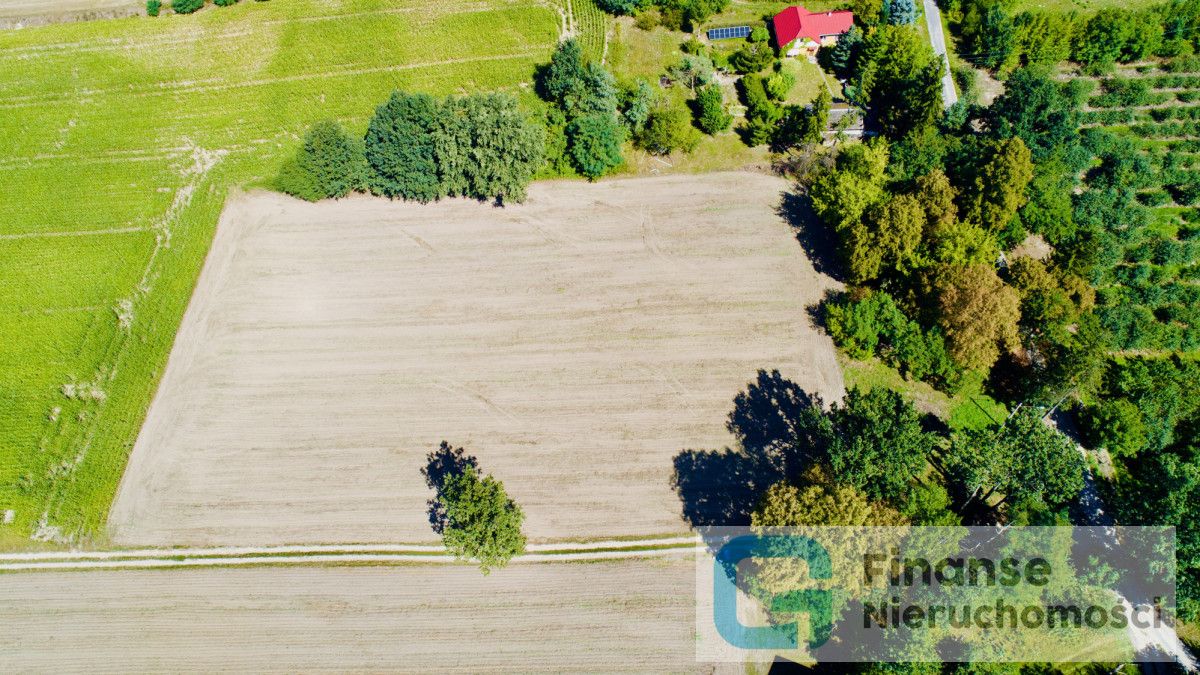 Działka budowlana Gaj. Zdjęcie 3