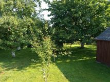 Działka rod Świnoujście, ul. Krzywa. Zdjęcie 2