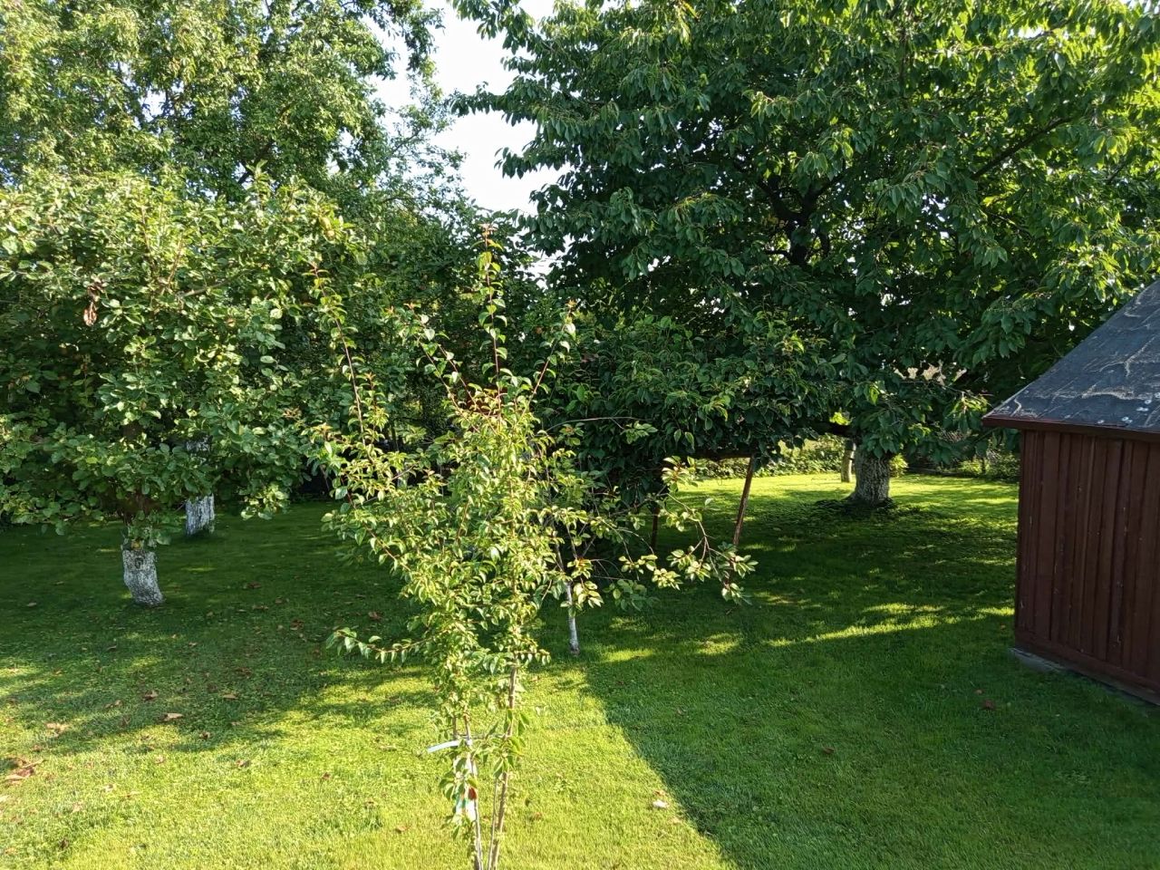 Działka rod Świnoujście, ul. Krzywa. Zdjęcie 3