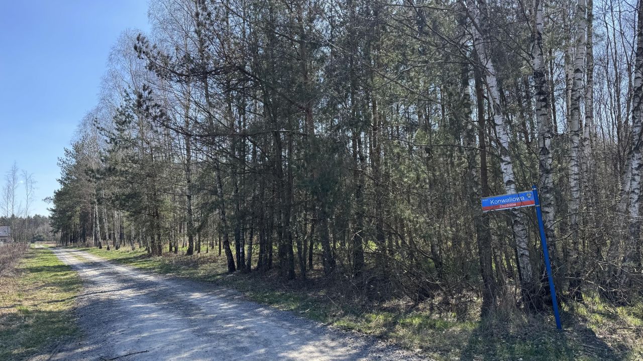 Działka leśna Zbydniów, ul. Konwaliowa. Zdjęcie 2